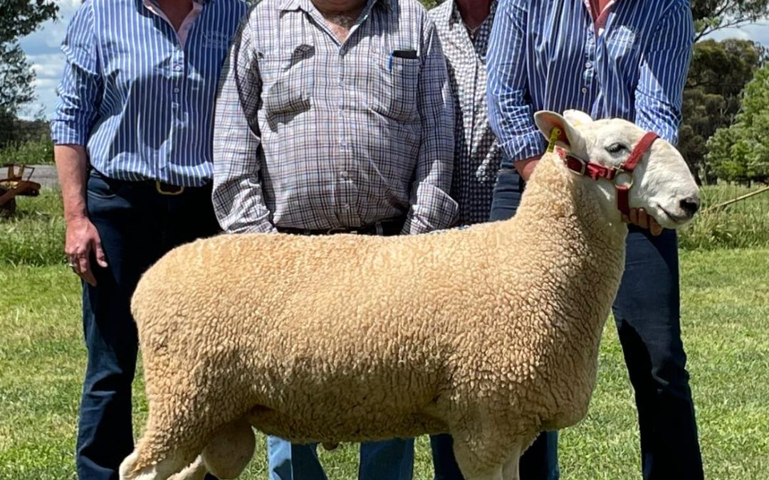 2022 Ram Sale – Wellington & District Leader