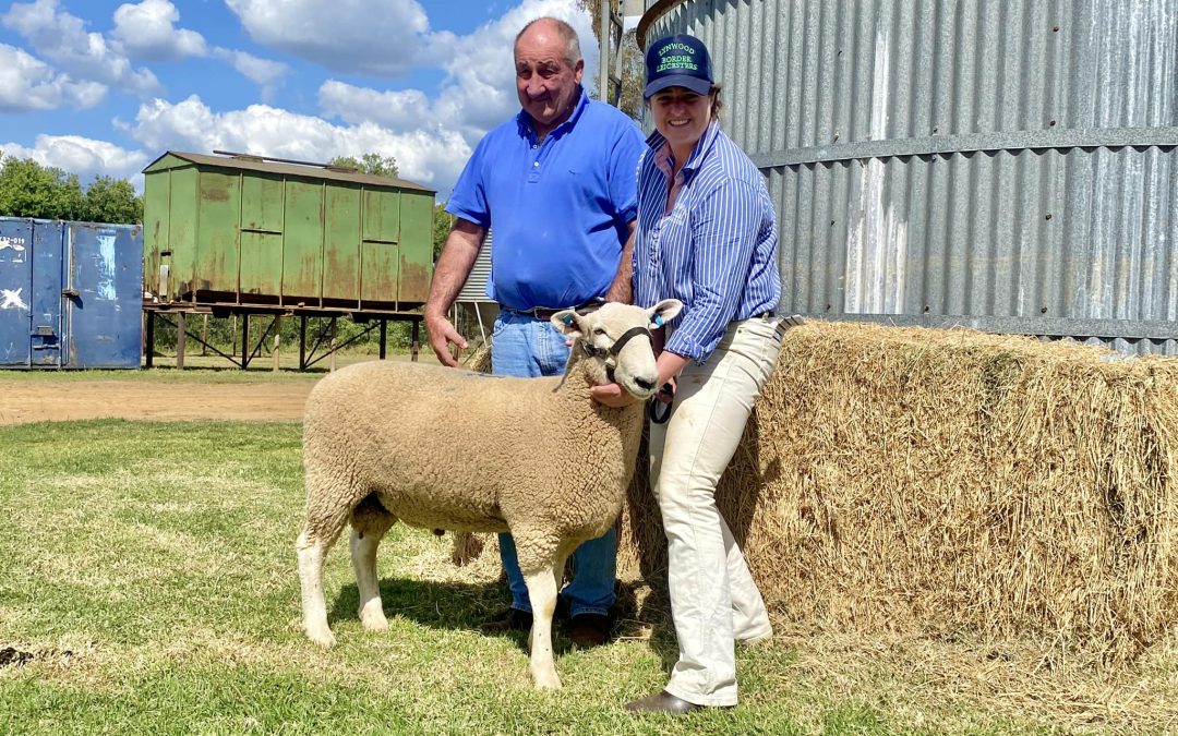 14th Annual Ram Sale